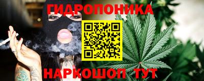 PSILOCYBIN Кулебаки
