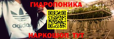 PSILOCYBIN Кулебаки