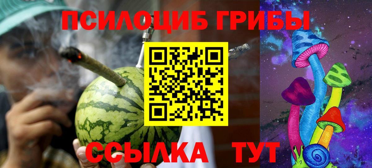 Электрогорск  Галлюциногенные грибы мицелий  Вход с VPN 